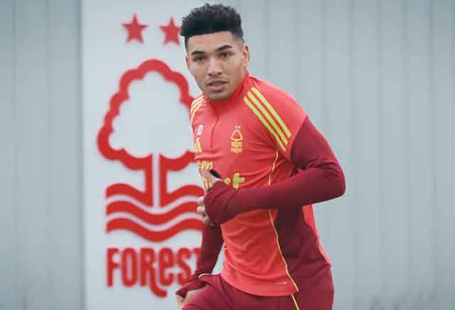 Forest transfer spending fails to deliver results