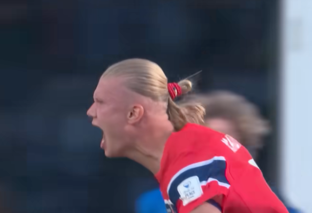 Erling Haaland