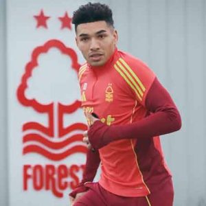 Forest transfer spending fails to deliver results